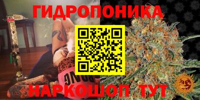 прущая мука Сланцы