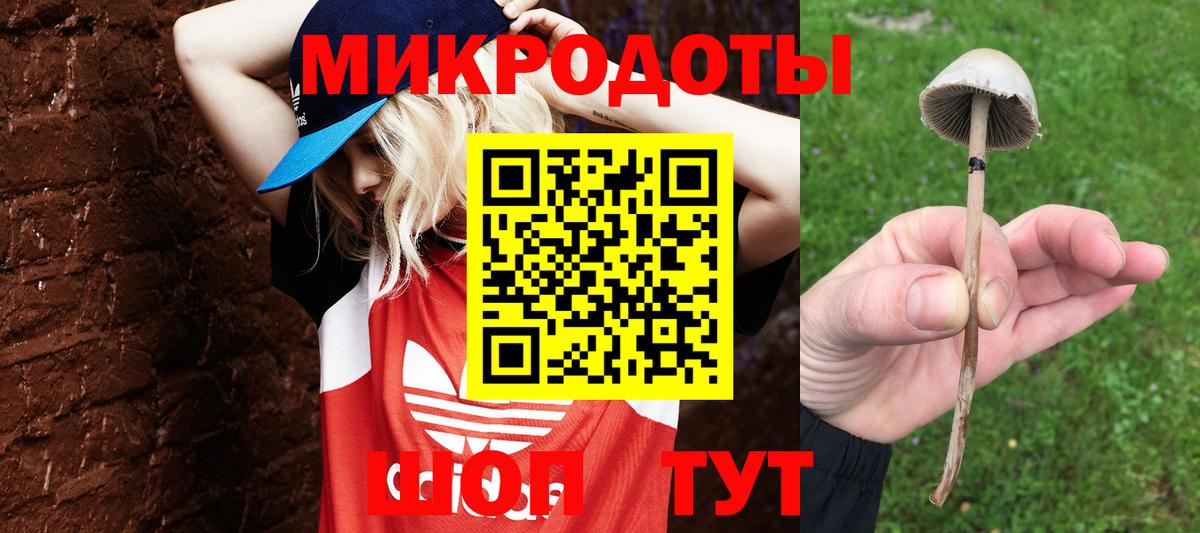 Псилоцибиновые грибы Magic Shrooms  Вход с VPN  Омск 